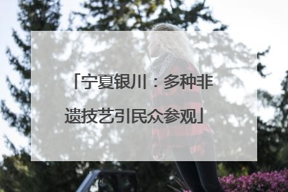 宁夏银川：多种非遗技艺引民众参观
