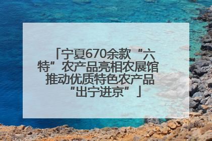 宁夏670余款“六特”农产品亮相农展馆 推动优质特色农产品“出宁进京”