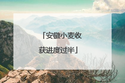安徽小麦收获进度过半