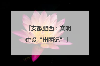 安徽肥西：文明建设“出圈记”
