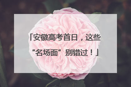 安徽高考首日，这些“名场面”别错过！