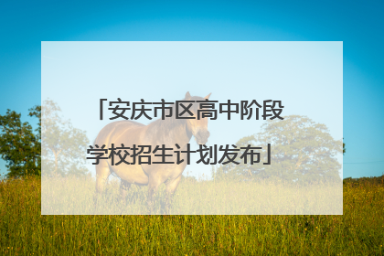 安庆市区高中阶段学校招生计划发布