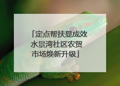 定点帮扶显成效 水景湾社区农贸市场焕新升级