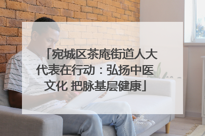 宛城区茶庵街道人大代表在行动：弘扬中医文化 把脉基层健康