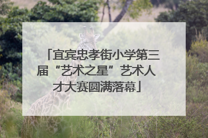 宜宾忠孝街小学第三届“艺术之星”艺术人才大赛圆满落幕