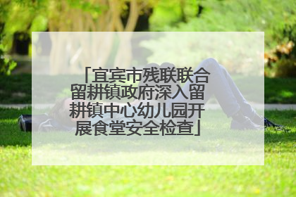 宜宾市残联联合留耕镇政府深入留耕镇中心幼儿园开展食堂安全检查
