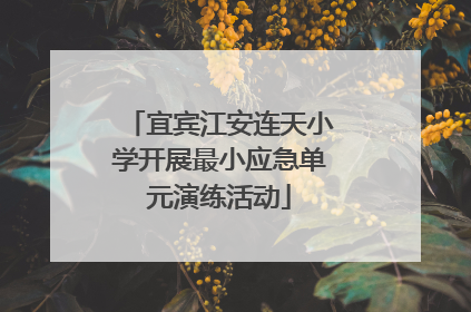宜宾江安连天小学开展最小应急单元演练活动