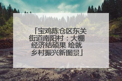 宝鸡陈仓区东关街道南阳村：大棚经济结硕果 绘就乡村振兴新图景