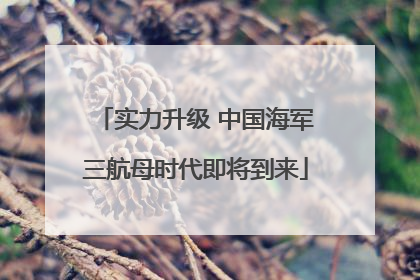 实力升级 中国海军三航母时代即将到来