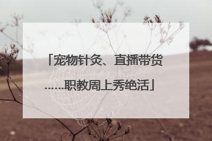 宠物针灸、直播带货……职教周上秀绝活