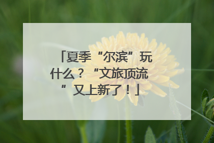 夏季“尔滨”玩什么？“文旅顶流”又上新了！