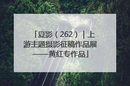 夏影（262）｜上游主题摄影征稿作品展——黄红专作品