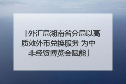 外汇局湖南省分局以高质效外币兑换服务 为中非经贸博览会赋能