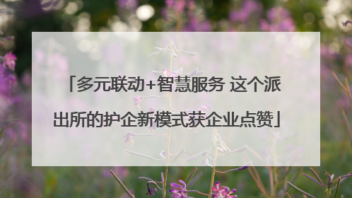 多元联动+智慧服务 这个派出所的护企新模式获企业点赞