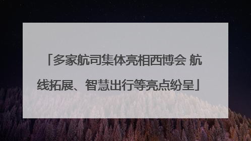 多家航司集体亮相西博会 航线拓展、智慧出行等亮点纷呈