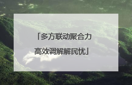 多方联动聚合力 高效调解解民忧