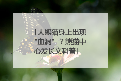 大熊猫身上出现“血洞”？熊猫中心发长文科普