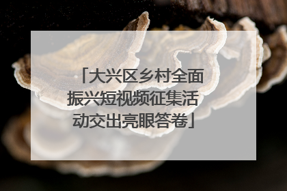 大兴区乡村全面振兴短视频征集活动交出亮眼答卷