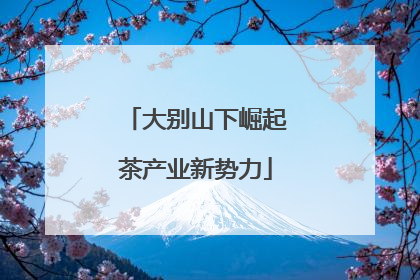 大别山下崛起茶产业新势力