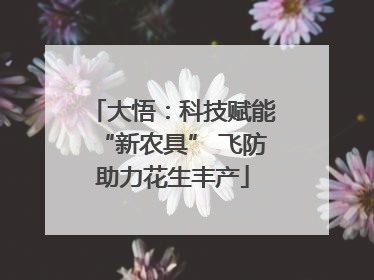 大悟：科技赋能“新农具” 飞防助力花生丰产