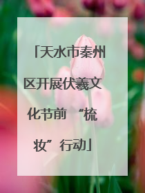 天水市秦州区开展伏羲文化节前 “梳妆”行动