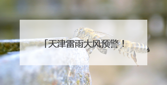天津雷雨大风预警！5个区暴雨预警！短时雨强较大！下午开场