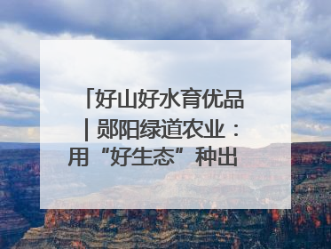 好山好水育优品｜郧阳绿道农业：用“好生态”种出“好味道”
