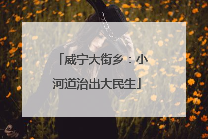 威宁大街乡：小河道治出大民生