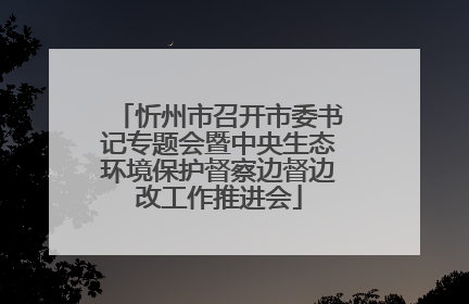 忻州市召开市委书记专题会暨中央生态环境保护督察边督边改工作推进会