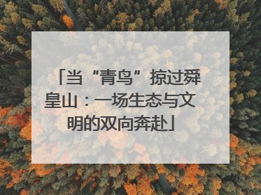 当“青鸟”掠过舜皇山：一场生态与文明的双向奔赴