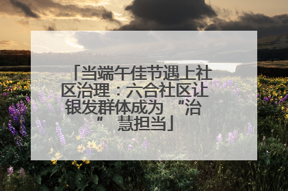 当端午佳节遇上社区治理：六合社区让银发群体成为 “治” 慧担当