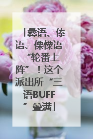 彝语、傣语、傈僳语 “轮番上阵”！这个派出所“三语BUFF”叠满