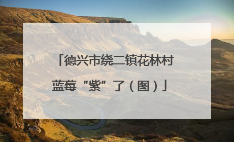 德兴市绕二镇花林村蓝莓“紫”了（图）