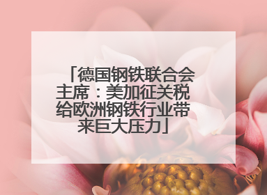 德国钢铁联合会主席：美加征关税给欧洲钢铁行业带来巨大压力