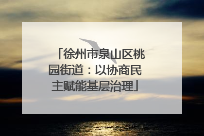徐州市泉山区桃园街道：以协商民主赋能基层治理