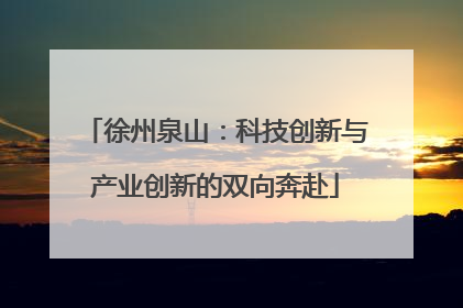 徐州泉山：科技创新与产业创新的双向奔赴