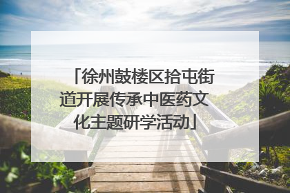 徐州鼓楼区拾屯街道开展传承中医药文化主题研学活动