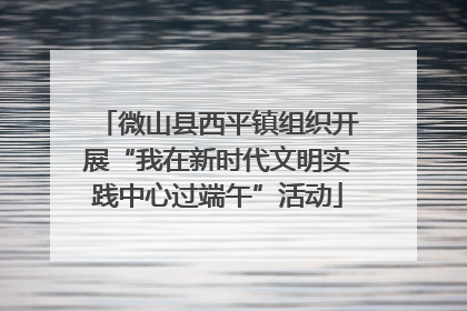 微山县西平镇组织开展“我在新时代文明实践中心过端午”活动