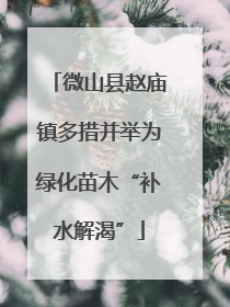 微山县赵庙镇多措并举为绿化苗木“补水解渴”
