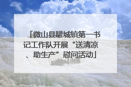 微山县驩城镇第一书记工作队开展“送清凉、助生产”慰问活动