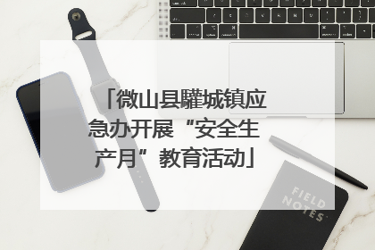 微山县驩城镇应急办开展“安全生产月”教育活动
