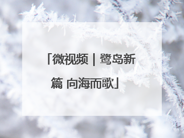 微视频｜鹭岛新篇 向海而歌
