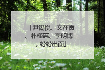 尹锡悦、文在寅、朴槿惠、李明博，纷纷出面