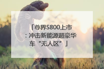 尊界S800上市：冲击新能源超豪华车“无人区”