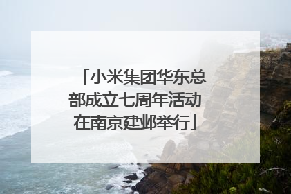 小米集团华东总部成立七周年活动在南京建邺举行