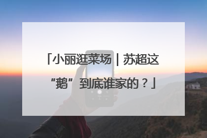 小丽逛菜场｜苏超这“鹅”到底谁家的？
