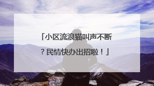 小区流浪猫叫声不断？民情快办出招啦！