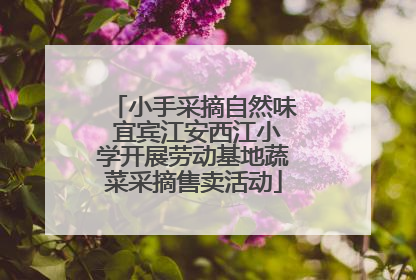 小手采摘自然味 宜宾江安西江小学开展劳动基地蔬菜采摘售卖活动