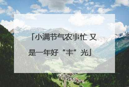 小满节气农事忙 又是一年好“丰”光