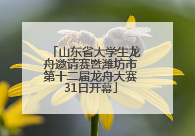 山东省大学生龙舟邀请赛暨潍坊市第十二届龙舟大赛31日开幕